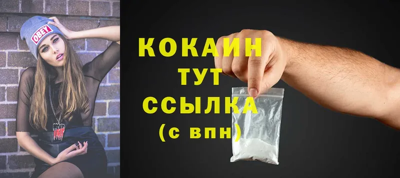 дарнет шоп  Заполярный  COCAIN FishScale 